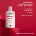 193247-800-auto.webp