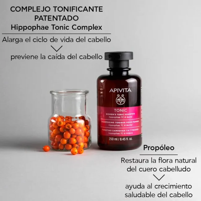 193704-800-auto.webp 193704-800-auto.webp