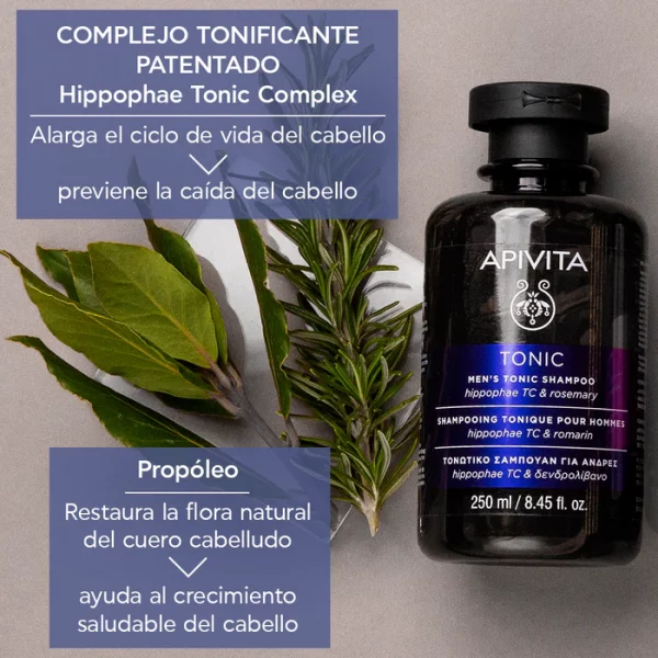 MensTonicShampooApivita-3-600x600-1.webp MensTonicShampooApivita-3-600x600-1.webp