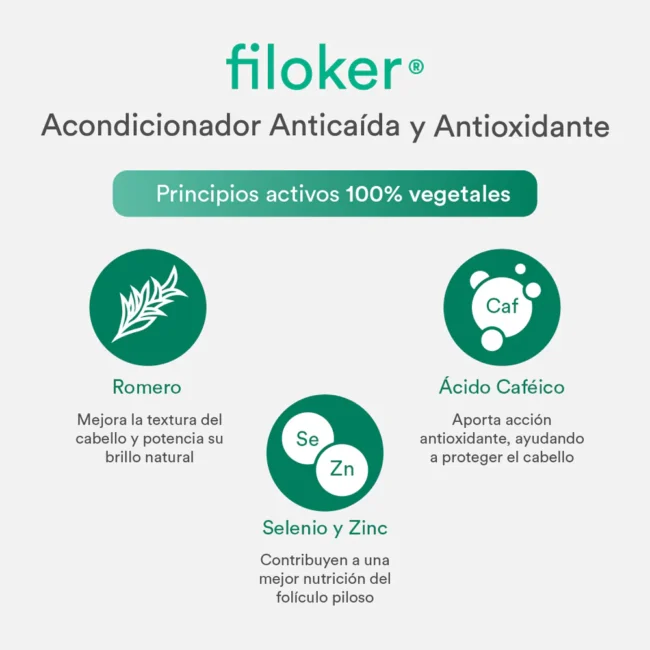 filoker_acondicionador_ingredientes.webp filoker_acondicionador_ingredientes.webp